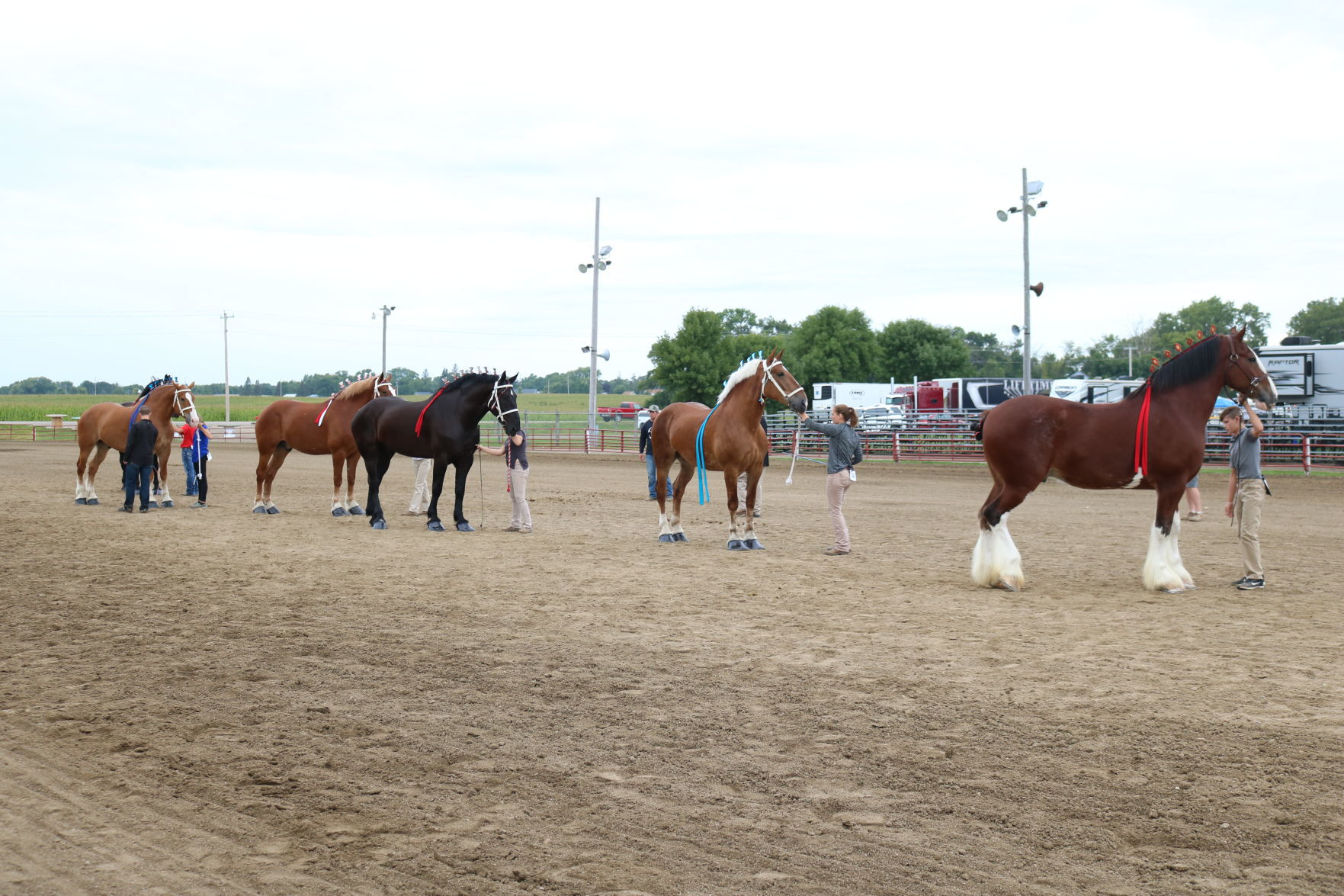 Sr Showmanship 3